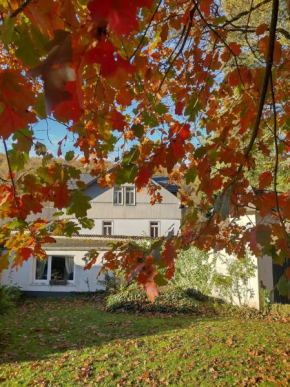 Etzauer Mühle, Apartment mit Balkon Weilrod
